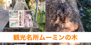 古賀市の観光名所ムーミンの木