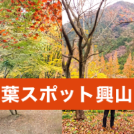 興山園の紅葉は古賀市の観光スポット