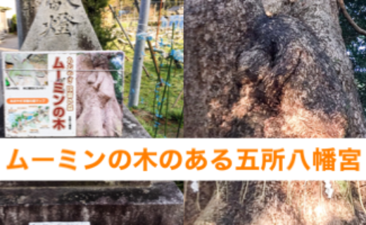 古賀市の観光名所ムーミンの木のある五所八幡宮